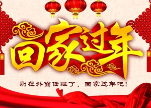 回家过年图片第1张