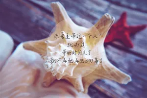 伤感心情语录图片_1
