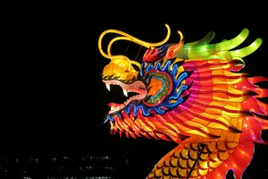龙状灯笼图片