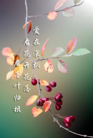深秋文字控图片