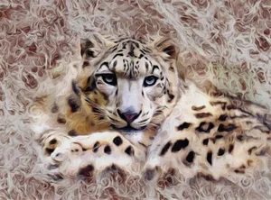 猎豹绘画图片_1