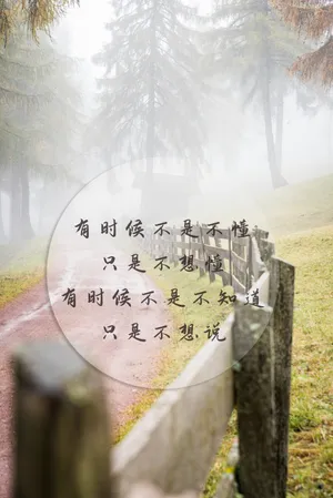 一句话经典文字图片
