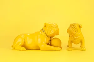 黄色斗牛犬雕塑图片_1