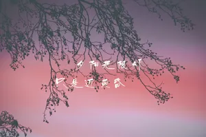 唯美黄昏文字图片_1
