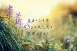 唯美文字控短句图片