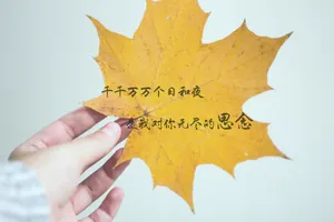 关于思念的文字图片