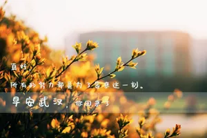 早安武汉文字图片_1