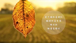 正能量暖心语录图片第1张