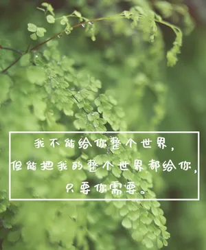 暖心文字图片_1