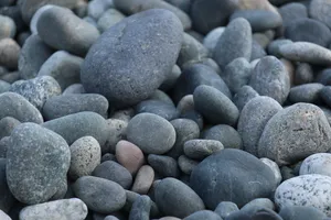 海边灰色鹅卵石图片