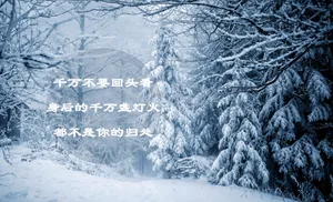 唯美冬季说说图片
