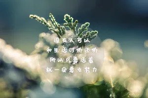 生活励志语录图片