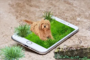另类动植物微景观图片_1