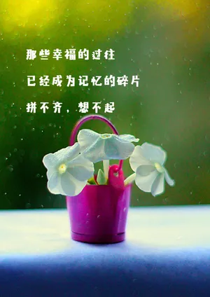 关于幸福的文字图片_1