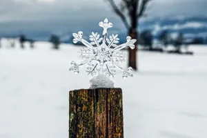 唯美冬季雪花晶片图片_1