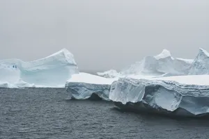 海岸白色冰川图片