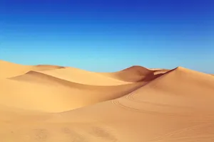 无边无垠孤寂的沙漠图片