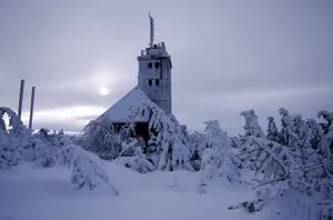 暴雪后的风景图片_1