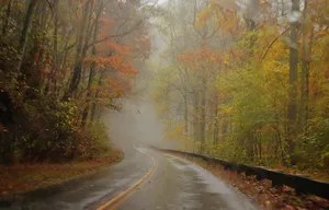 秋天清晨雾气公路风景图片第1张