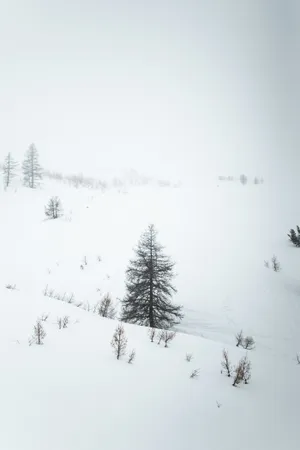 冬季冰天雪地图片