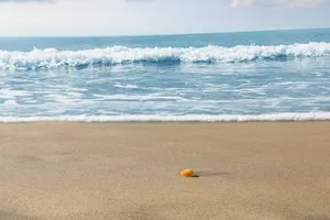 佛德角布拉瓦岛海景图片