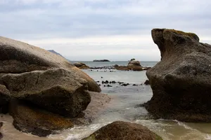 海滩上的石块图片