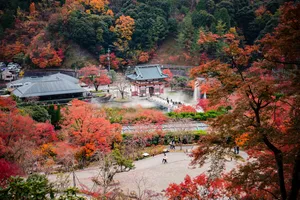 日本城市风光图片