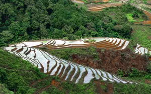 高山梯田图片