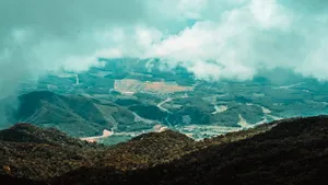 航拍自然风景图片_1