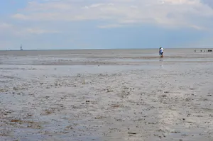 海边滩涂风景高清图片第张