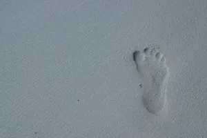 高清沙滩上的脚印高清图片第张