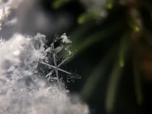 晶莹剔透的雪花高清图片第张