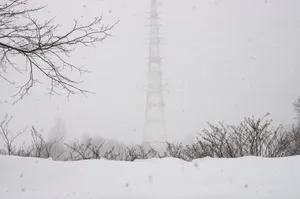 冬天的雪景高清图片第张