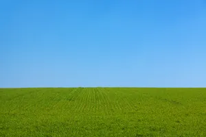 青青草地高清图片第张