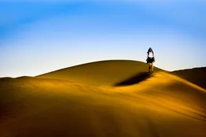 沙漠风景高清图片第张