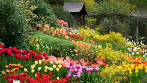 烂漫花色风景_5