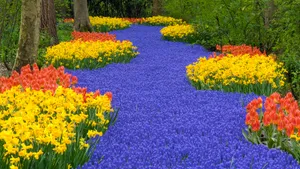 烂漫花色风景_11