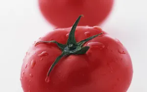 诱人的西红柿_8