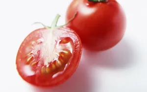 诱人的西红柿_15