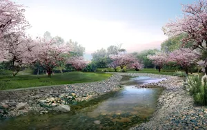 桃花烂漫桌面壁纸图片_14