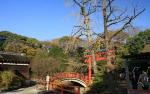秋天枫叶壁纸_3