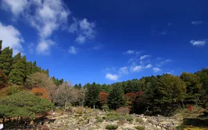 宽屏红叶 第三辑_2
