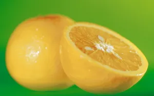 水果图片壁纸_4