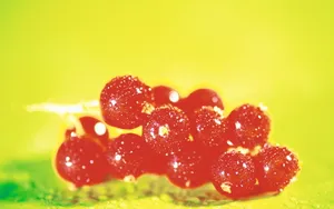 水果图片壁纸_9