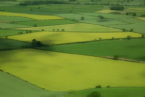 梯田风景高清图片第张