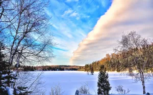 唯美的雪景高清图片第张