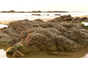 海滩礁石高清图片第张