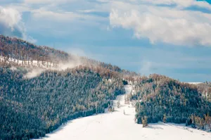 新疆禾木冬季雪景高清图片第张