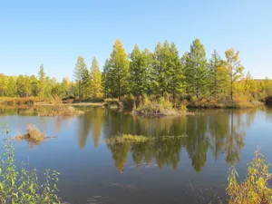 内蒙古呼伦贝尔草原风景高清图片第张