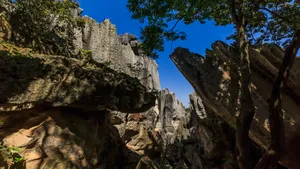 云南昆明石林风景高清图片第张